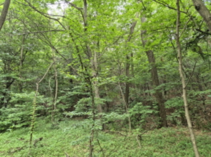 목록6~7번 전경5