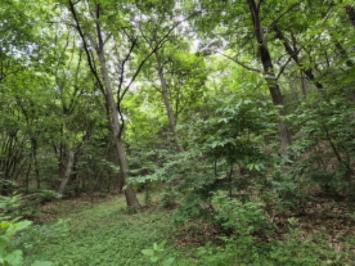 목록6~7번 전경6