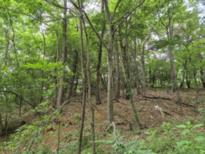 목록6~7번 전경7