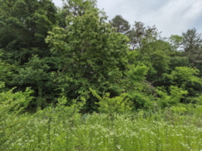 목록6~7번 전경8