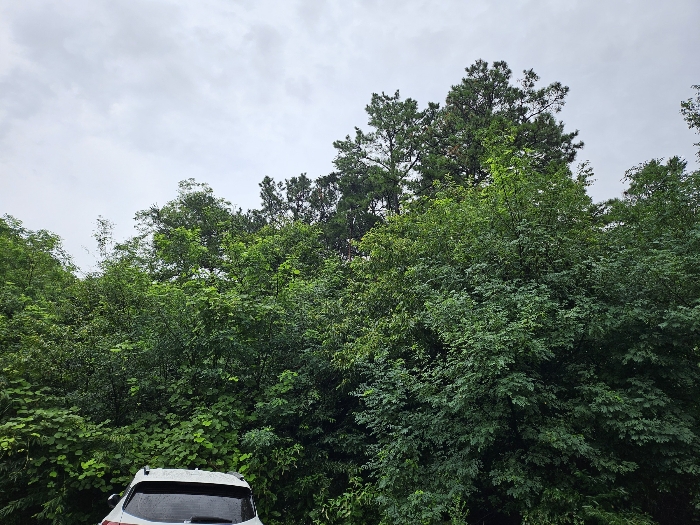 기호(6)주위환경