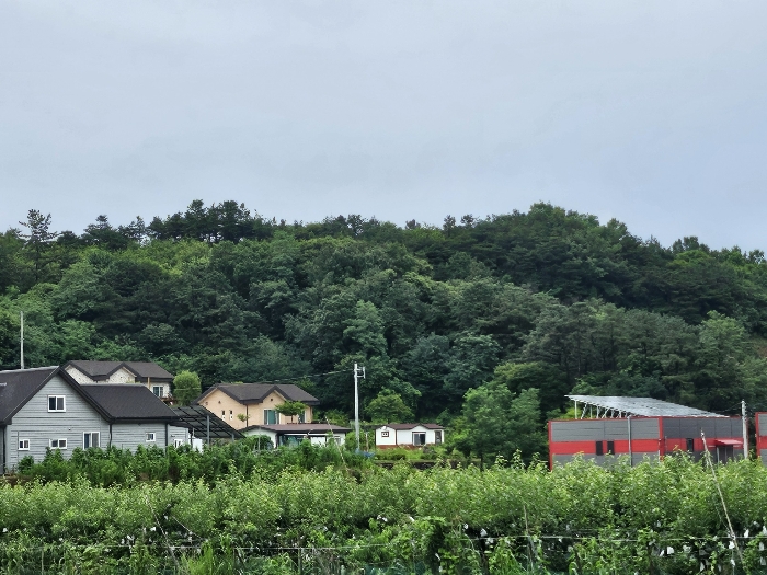 기호(6,7)남서측 인근 주위환경