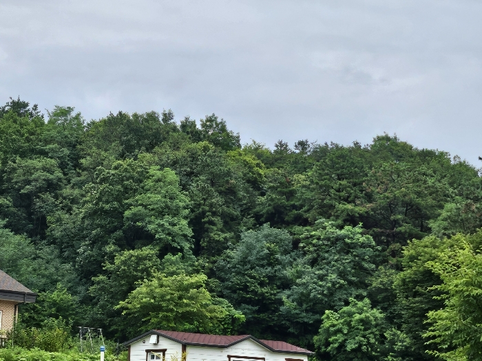 기호(6,7)서측 주위환경