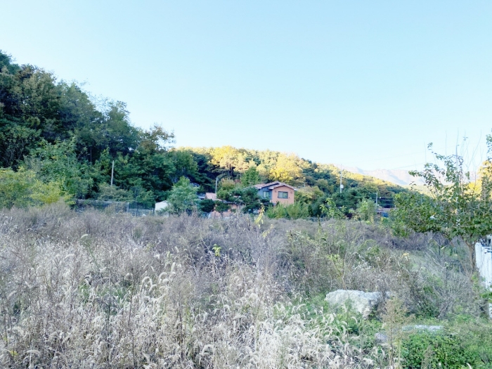 본건전경 - 남동측에서 촬영