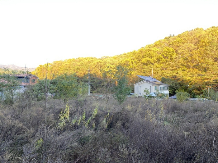 본건전경 - 남서측에서 촬영