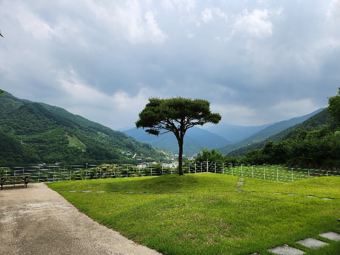 콘크리트바닥 및 잔디 등
토지에 포함 평가하였음