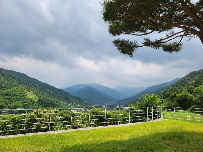 본건에서 바라보이는 조망
및 부근의 상황 등