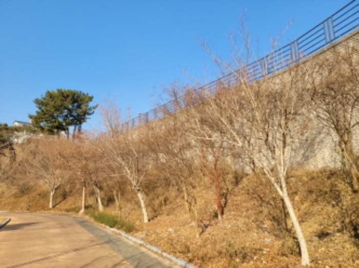 목록번호68,70,71