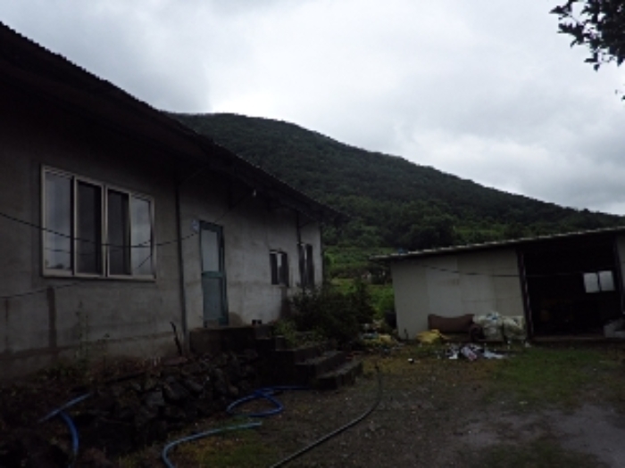 청학리 산54-3 제시외 관리사 전경