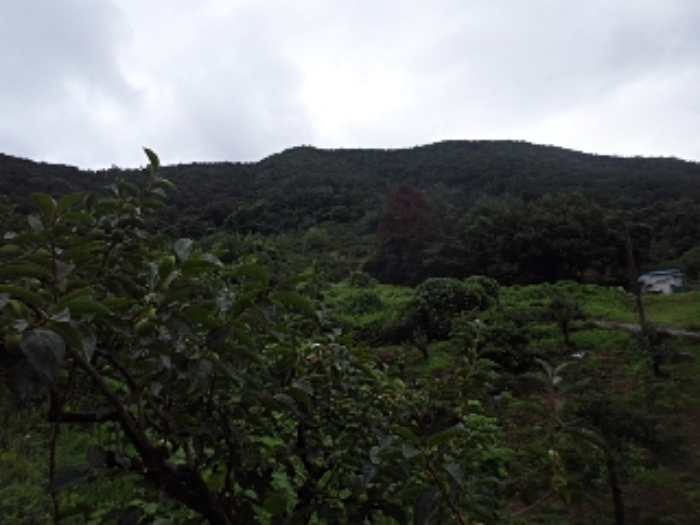 청학리 산54-6외 전경