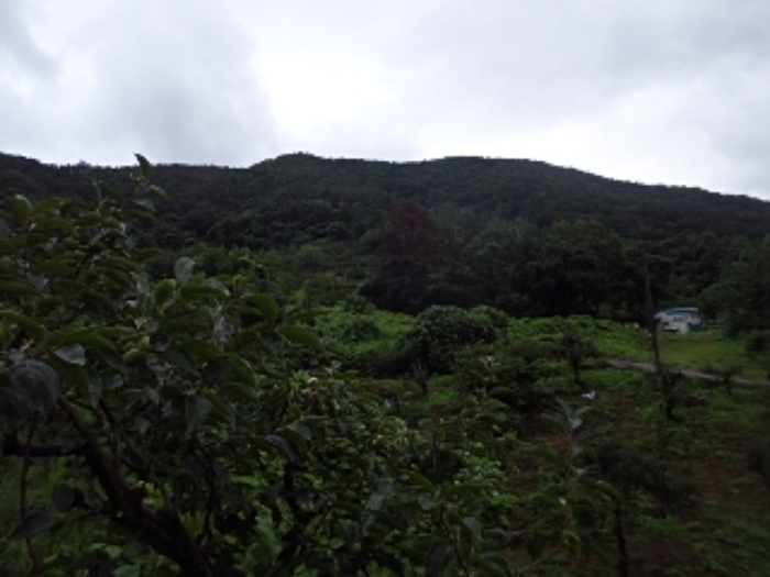 청학리 산54-10외 전경