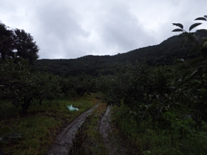 청학리 산54-10외 전경