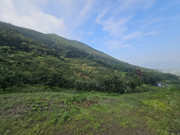 본건 토지 기호[2]