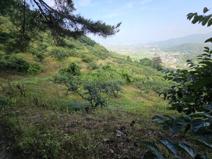 본건 토지 기호[2]