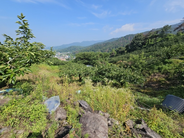 본건 토지 기호[3]