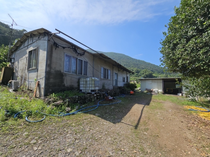 본건 토지 기호[4]