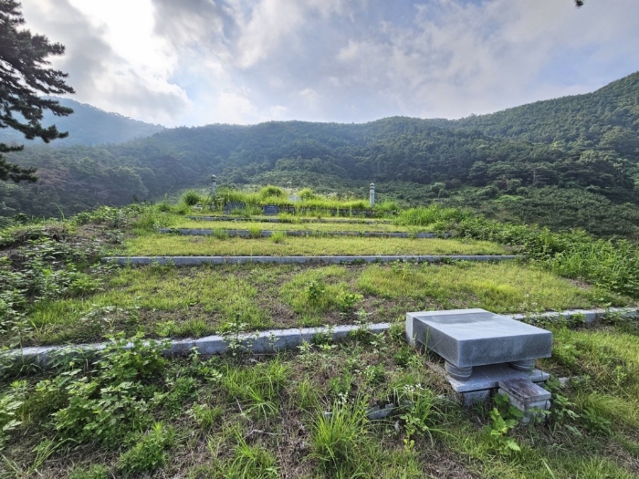 본건 토지 기호[5]