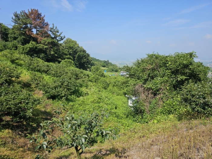 본건 토지 기호[6]