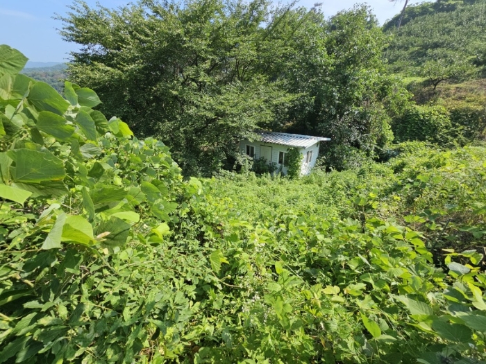 본건 토지 기호[6]