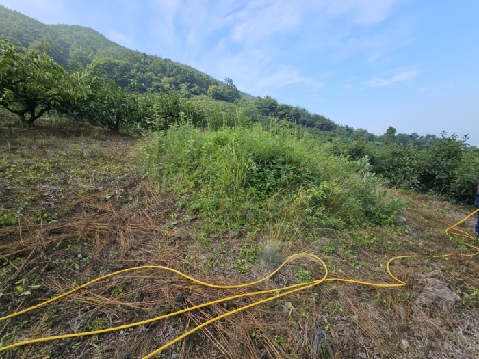 본건 토지 기호[7]