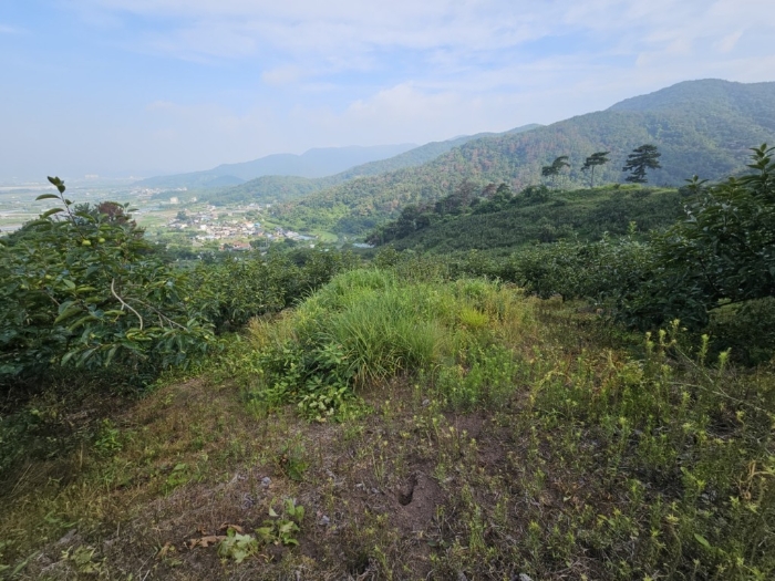 본건 토지 기호[8]