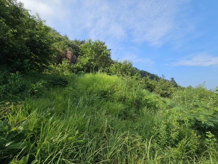 본건 토지 기호[9]