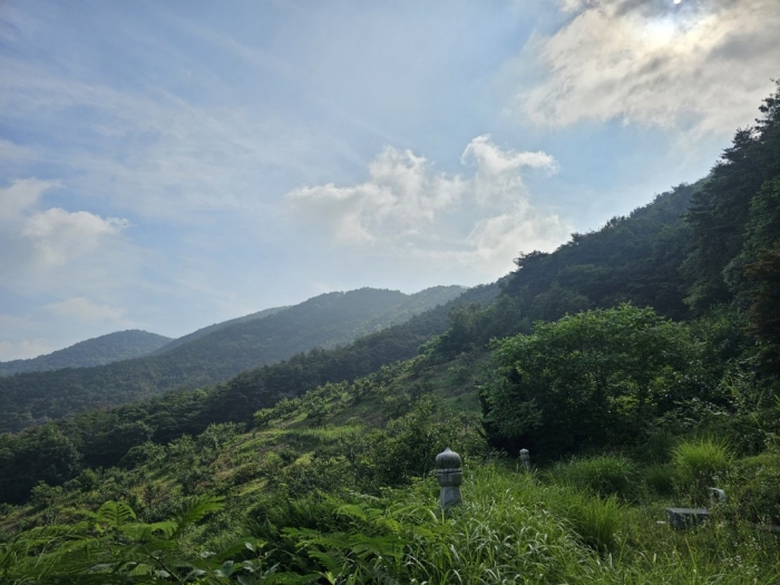 본건 토지 기호[11]