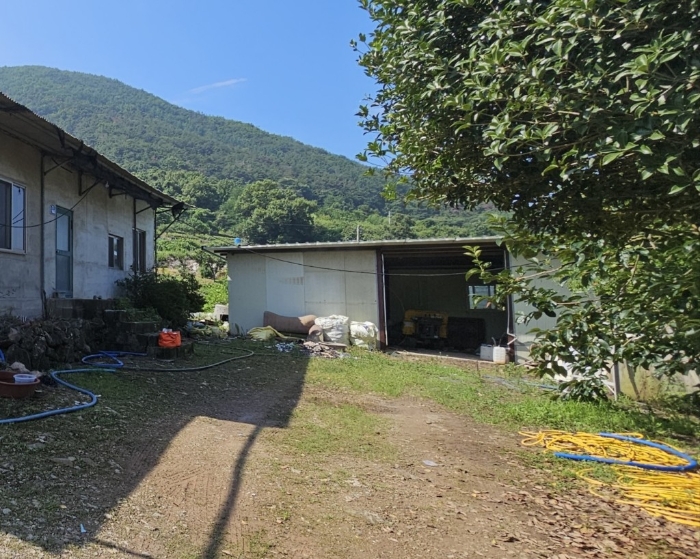 제시외건물 [ㄱ]