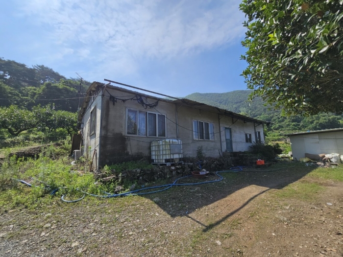 제시외건물 [ㄴ]