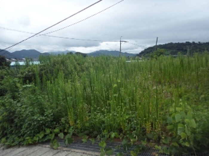 마산리195-2외 전경