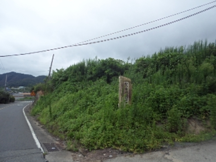 마산리191-6외 전경