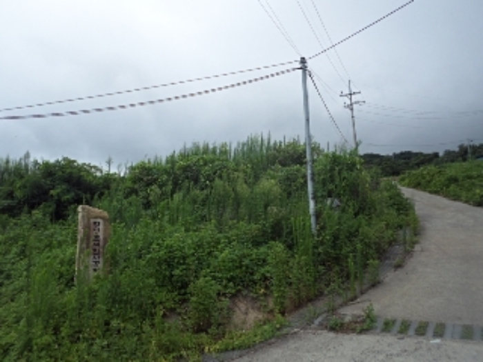 마산리191-7외 전경