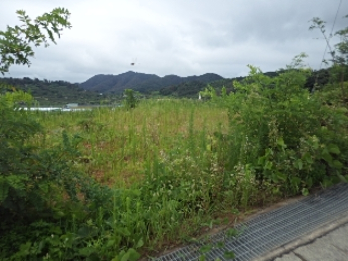 마산리195-2외 전경