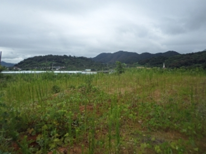 마산리195-2외 전경