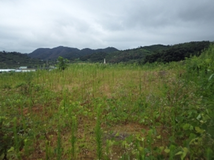 마산리195-2외 전경