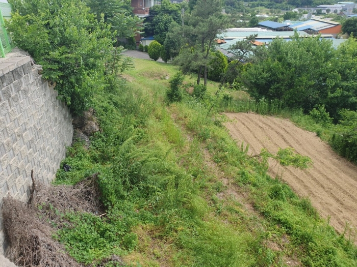 본건 기호[5] 토지 전경 