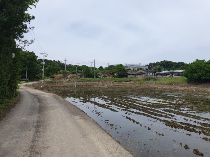 본건 기호[1,4,5] 토지 주위환경