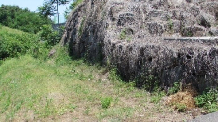 평지리 510-10외  전경