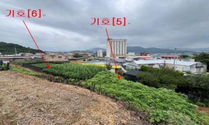 본건 토지 기호 5,6
