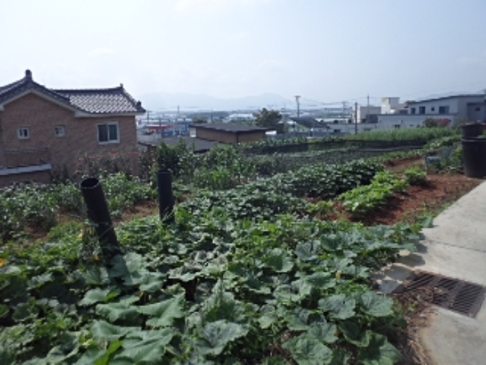 예림리 1443-7외 전경