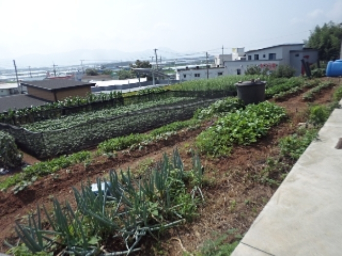 예림리 1443-7외 전경