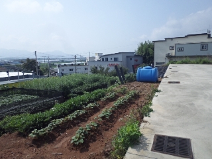 예림리 1443-6외 전경