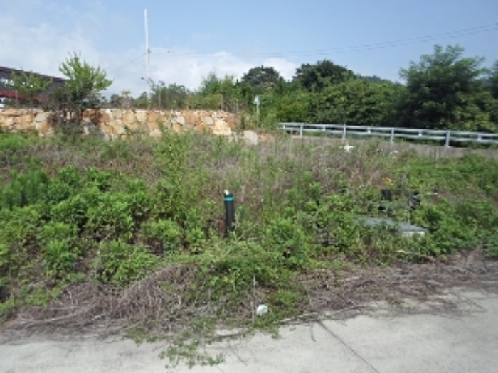 예림리 1443-3외 전경