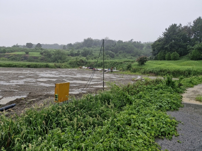 본건 토지 일부