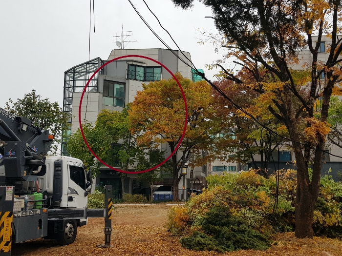 본건 및 주위환