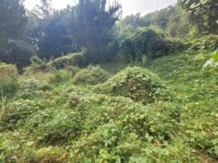 분묘 모습(목록