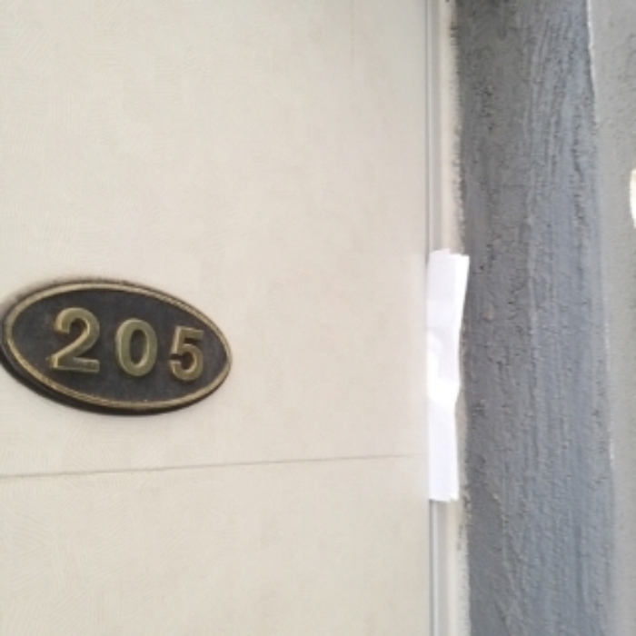 세대 출입문(205호)