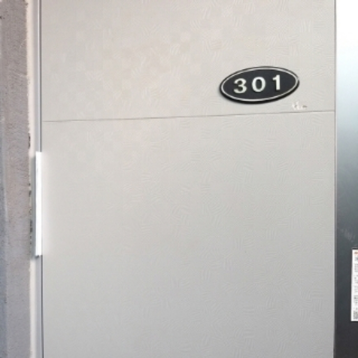 세대 출입문(301호)