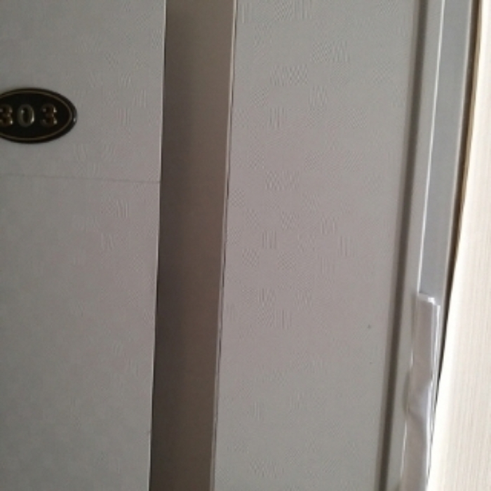 세대 출입문(303호)