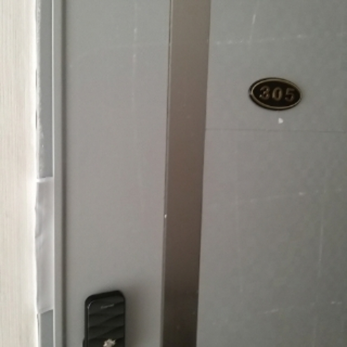 세대 출입문(305호)